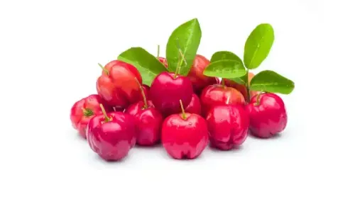 Nutritional Benefits of Acerola Cherries